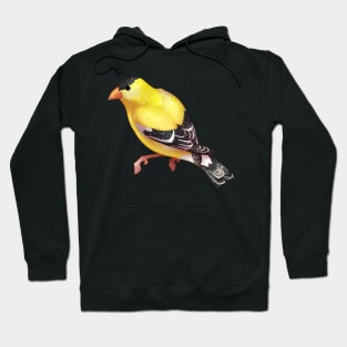 Cozy Goldfinch Hoodie